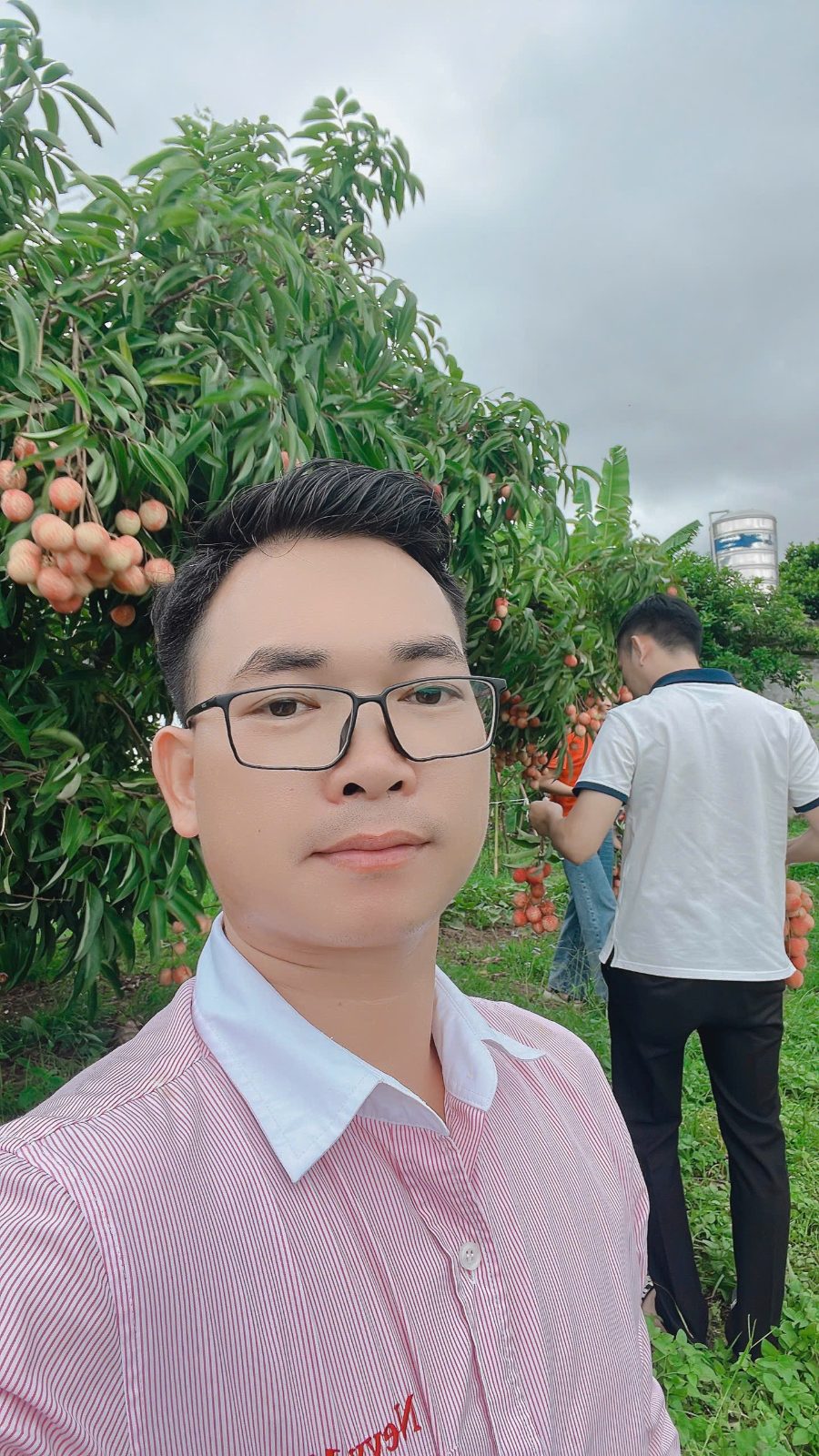 Anh Kỳ bên một vườn vải đang chín đỏ, những mảnh vườn như thế là nơi anh làm nghề mỗi ngày khi đi chọn đất cho khách.
