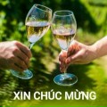 Lê Đăng Thảo