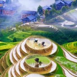 Thân Cảnh Thịnh