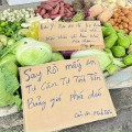 Nguyễn Trường Sơn